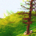 brute in forest「COLOR MATERIAL」