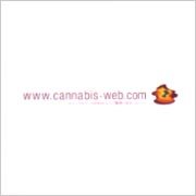 �ȣ�����ԣ�̣���塡�ͣ�