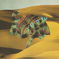 Django Django / ジャンゴ・ジャンゴ「Django Django 【輸入盤】」