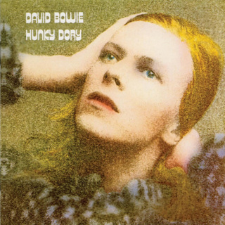 David Bowie / デヴィッド・ボウイ「HUNKY DORY [50TH ANNIVERSARY 