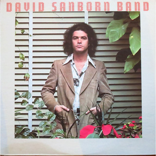David Sanborn / デイヴィッド・サンボーン ディスコグラフィー | Warner Music Japan