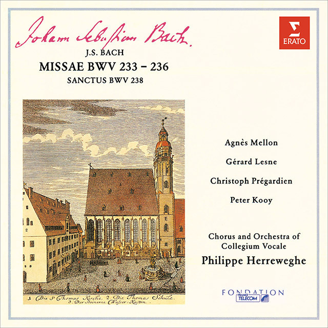 Philippe Herreweghe / フィリップ・ヘレヴェッヘ「Missae BWV233-236, Sanctus BWV238 /  J.S.バッハ：4つのミサ曲 BWV233-236、サンクトゥス BWV238」 | Warner Music Japan