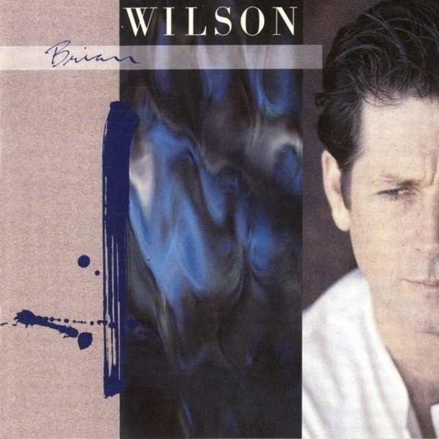 Brian Wilson / ブライアン・ウィルソン「BRIAN WILSON / ブライアン