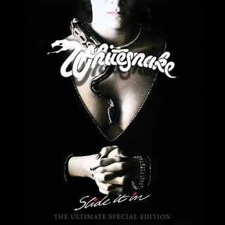Whitesnake / ホワイトスネイク「Slide It In: The Ultimate Special 