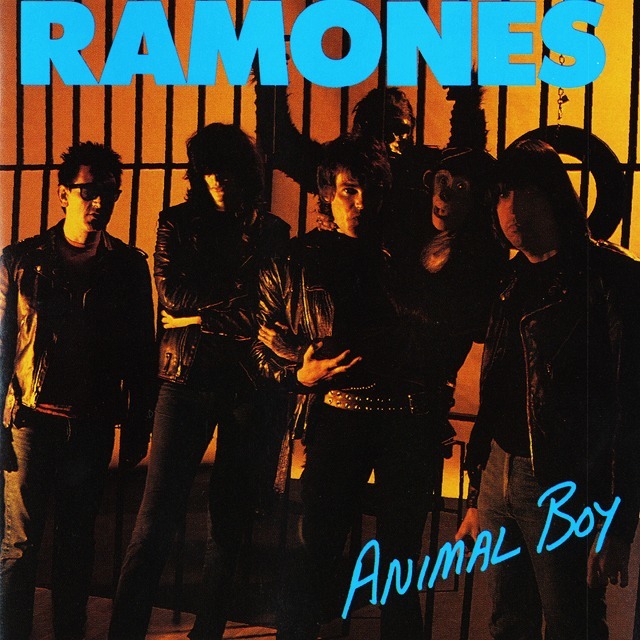 Wpcr 85097 ramones animal boy