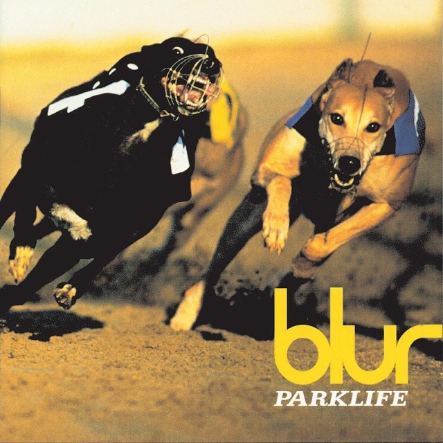 blur PARKLIVE ブラー パークライヴ 2012 81S8kI3xYCL._SY200_QL15_.jpg