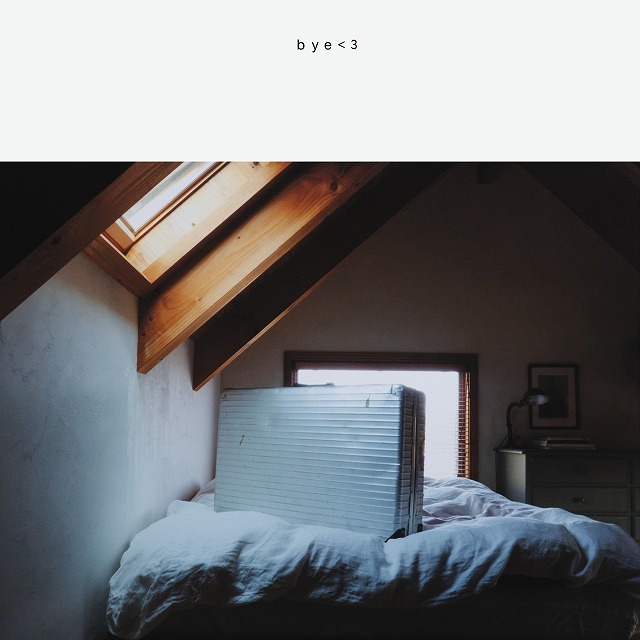 Jacket luv bye 3 finish