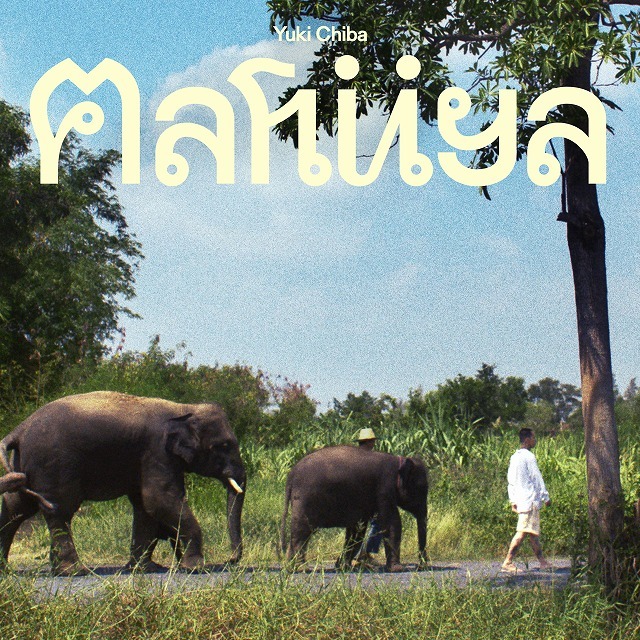 Maa