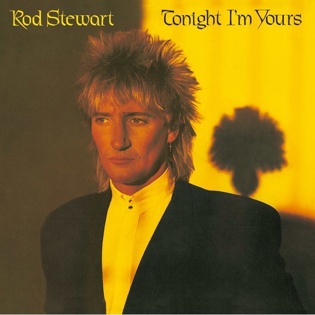 Rod Stewart / ロッド・スチュワート「TONIGHT I'M YOURS / トゥナイト