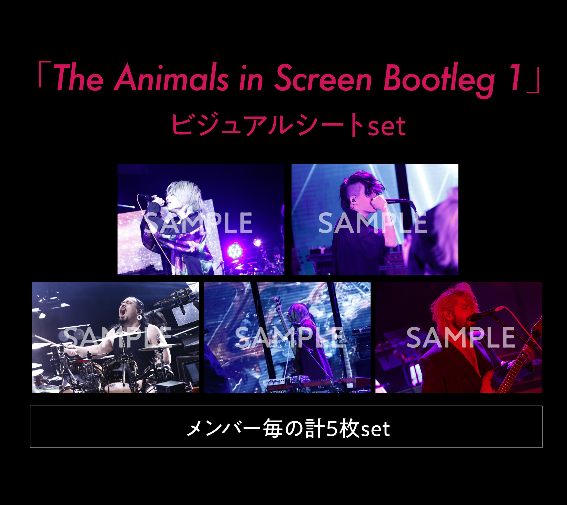 Fear, and Loathing in Las Vegas「The Animals in Screen Bootleg 1