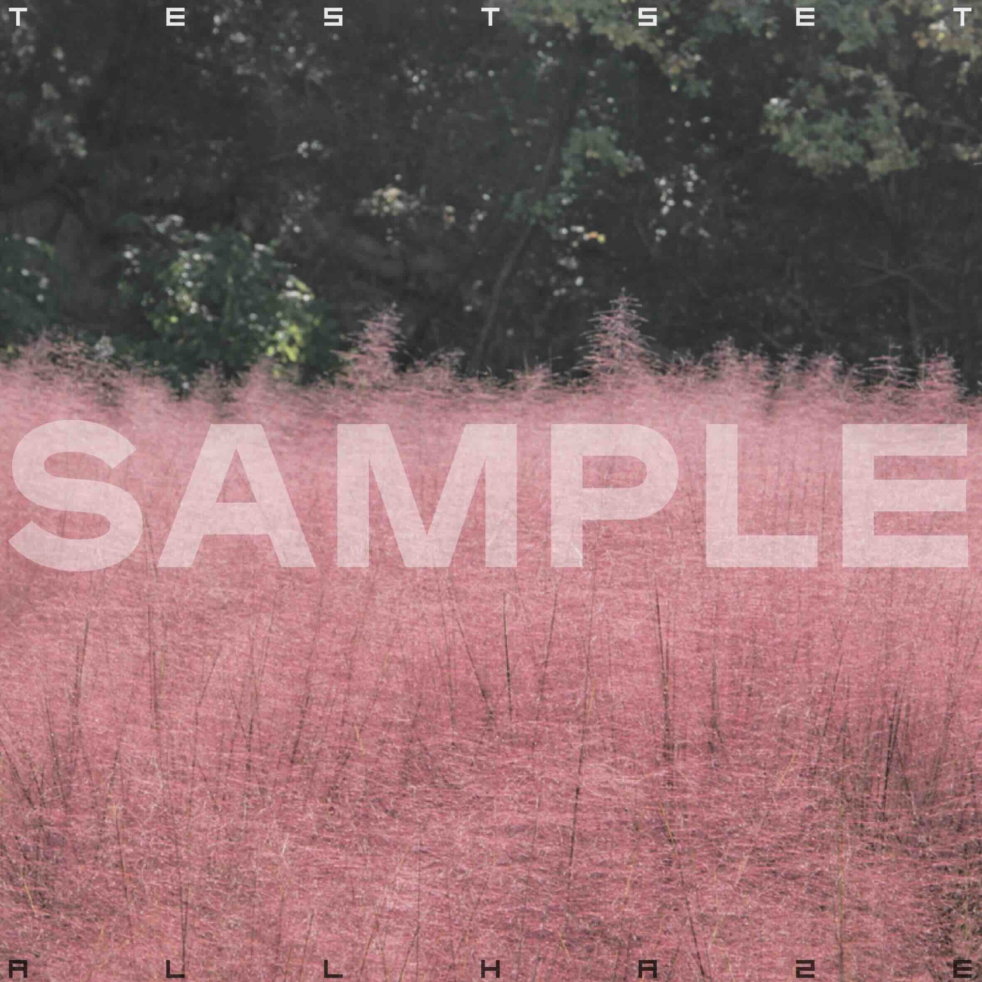 レア　初期　白砂村　SHIRASUNAMURA 全巻セット 今井神 81hvKCVbK5L.jpg