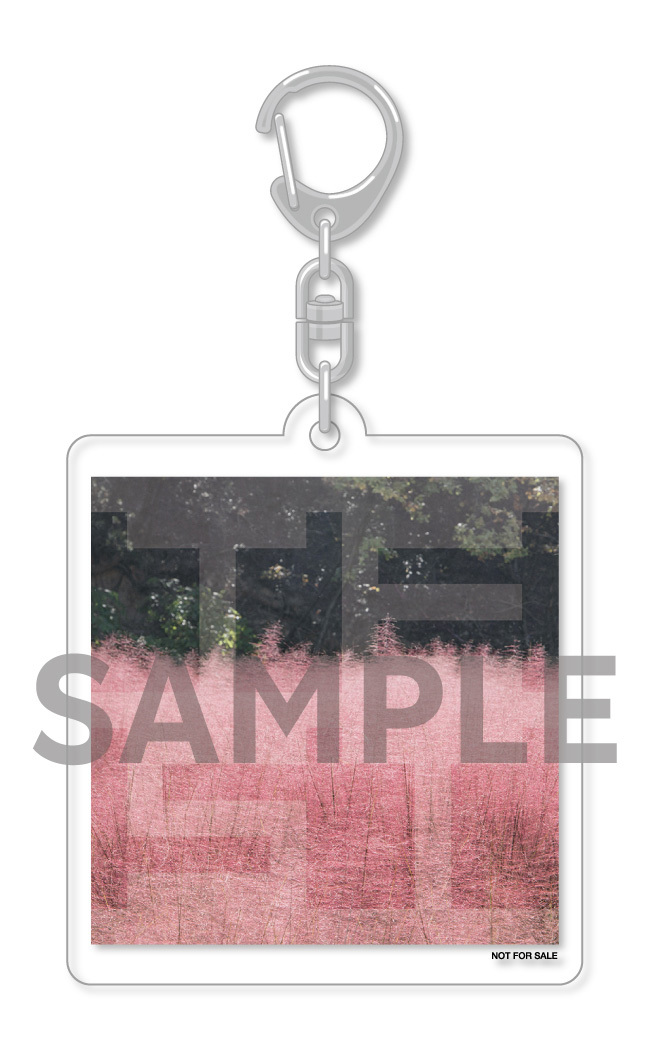 2ndアルバム『ALL HAZE』Pre-Add/Pre Save開始！店舗別特典デザイン