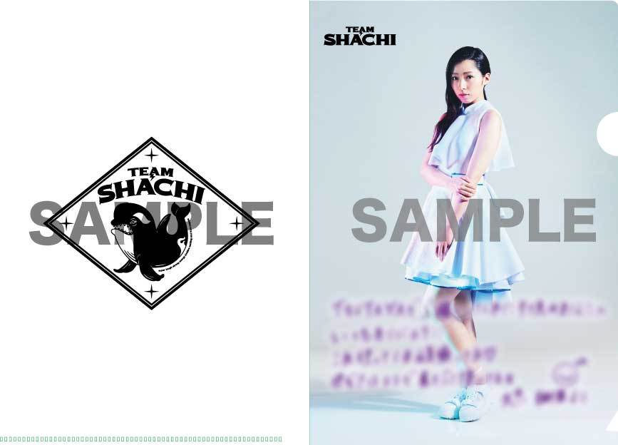 2月13日発売「TEAM SHACHI」CDショップ別オリジナル特典決定！ | TEAM